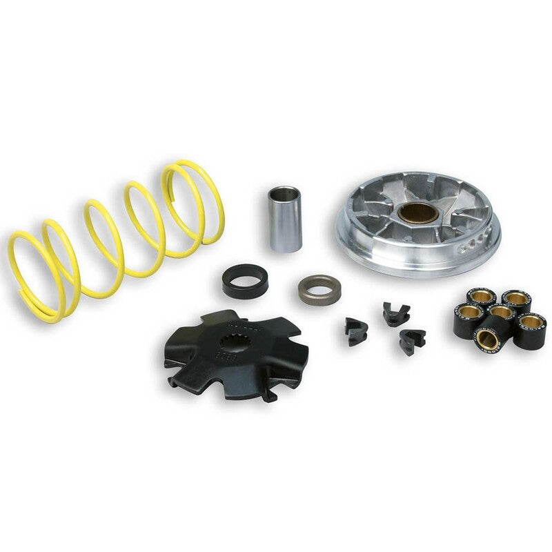 Variador Malossi 5111151 Derbi Variant / Predator MALOSSI 5111151