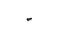 Tornillos para campana de embrague HINSON, cabeza avellanada HINSON 04014-02-T