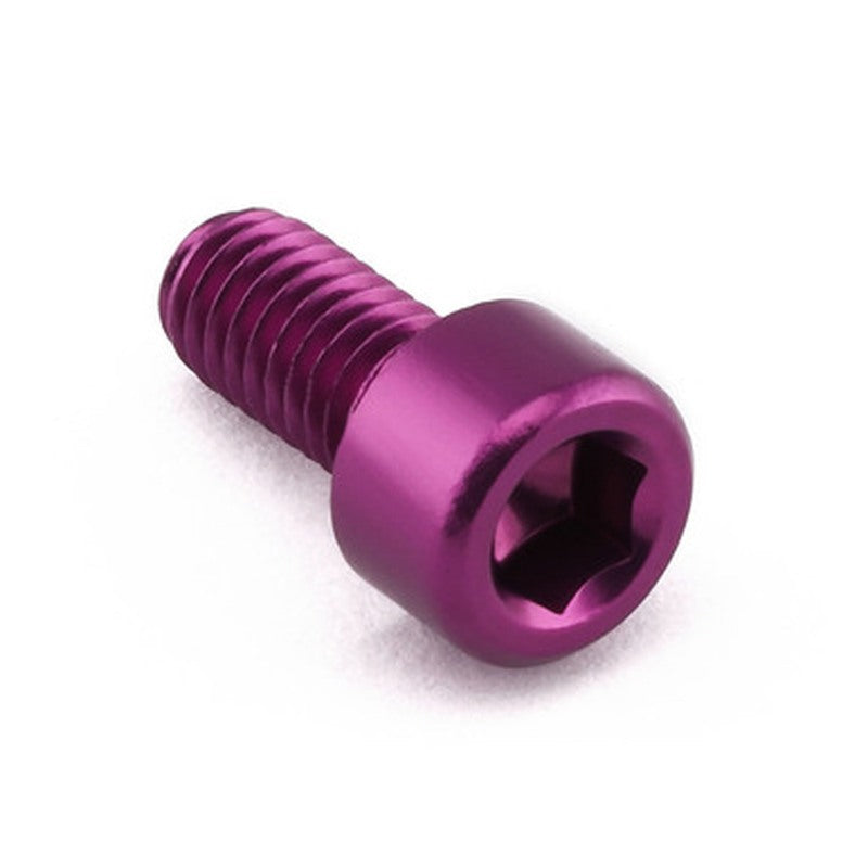 Tornillo de Aluminio Pro-bolt cabeza cilíndrica M6 x (1.0mm) x 12mm violeta LPB508P PRO BOLT LPB612P