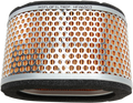 HIFLOFILTRO AIR FILTERS AIR FILTER TRI 955 02-06