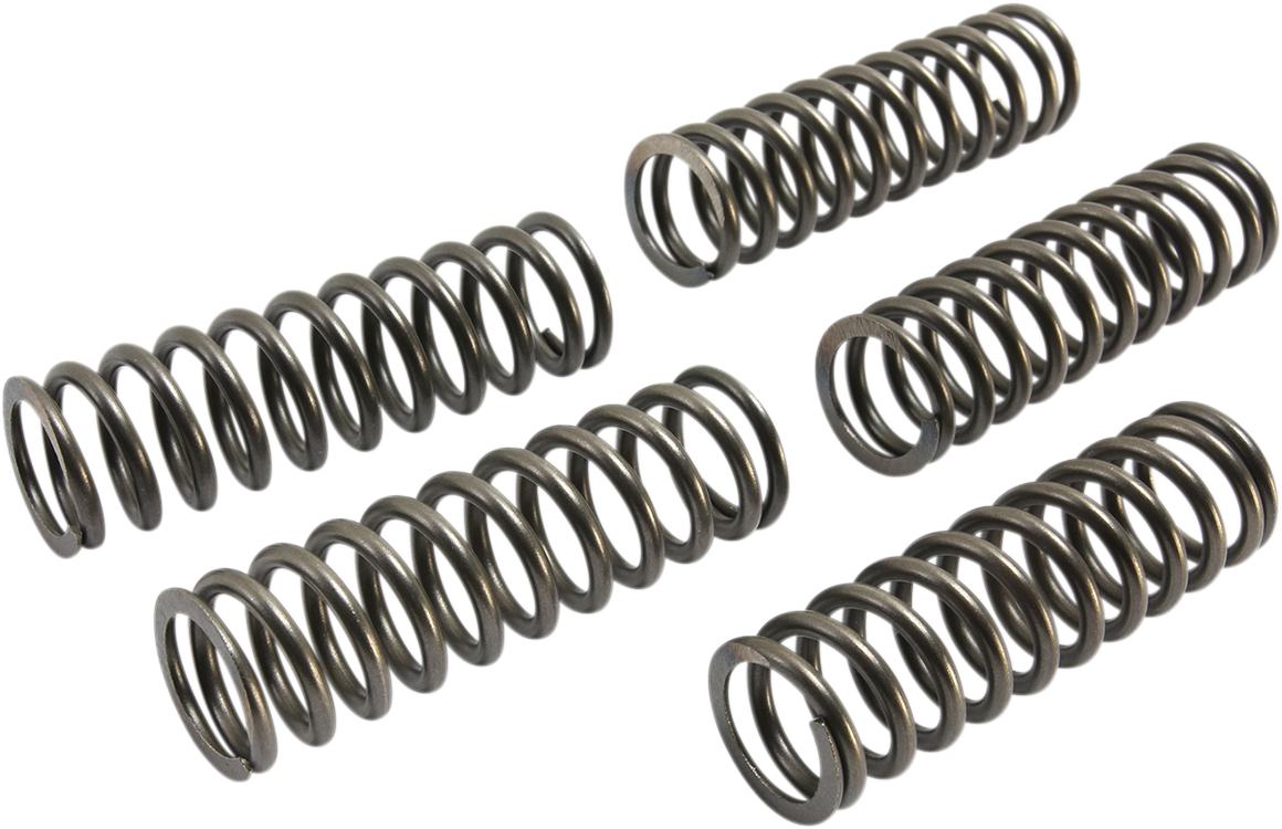 EBC EBC CLUTCH KITS, CLUTCH SPRINGS AND DIAPHRAGM SPRINGS CLUTCH SPRINGS EBC CSK223