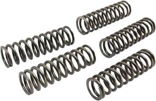 EBC EBC CLUTCH KITS, CLUTCH SPRINGS AND DIAPHRAGM SPRINGS CLUTCH SPRINGS EBC CSK223