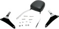 COBRA SISSY BARS SISSY BAR STD VN1700 CL