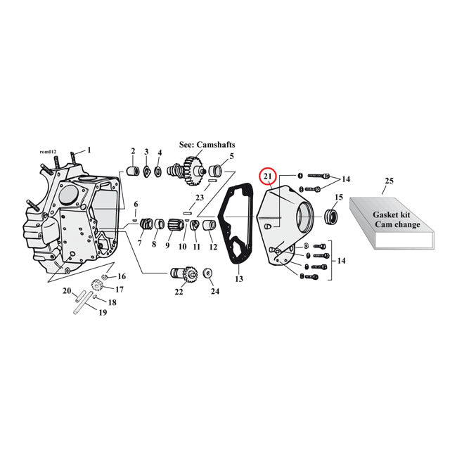 OEM Style L73-92 Copertura cam, Polyhed per Harley Davidson