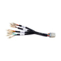 Motone, Triumph Plug &amp; Play Wiring Harness Adapter