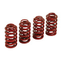 Andrews Spring Set. .560 Inch Lift For Harley-Davidson