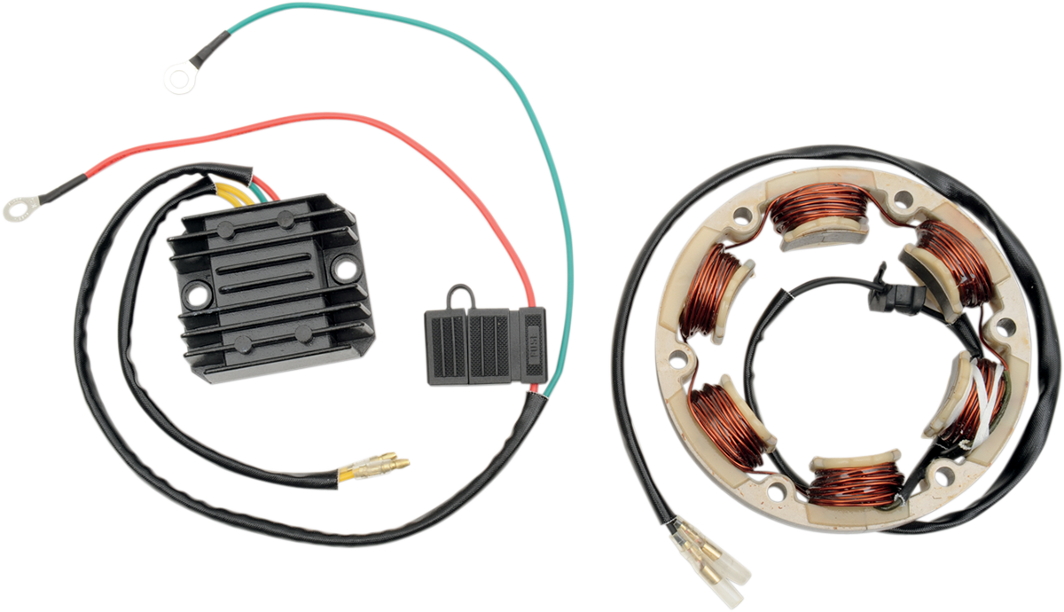 RICK'S MOTORSPORT ELECTRIC HIGH-OUTPUT CHARGING KIT CHARGING KIT (99-101)