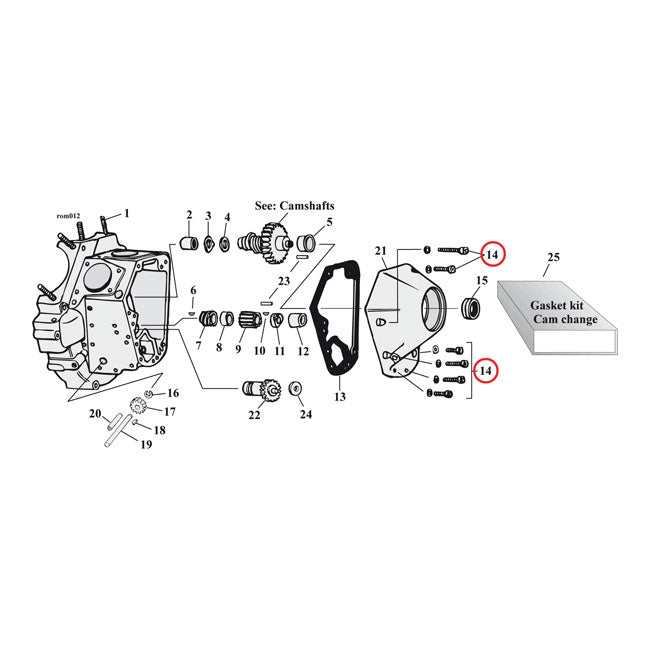 B.T. Cam Cover Mount Kit, Ss Allen For Harley Davidson