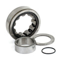 Bearing Assy, Cam. Rear. Outer For Harley-Davidson