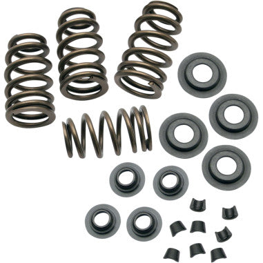 SIDEWINDER® .650" VALVE SPRING KITS FOR HARLEY-DAVIDSON