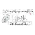 Transmission Roller +.0008" For Harley-Davidson