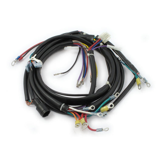 Wiring Harness, Main Set For Harley-Davidson