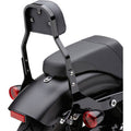 DETACHABLE BACKREST KITS FOR HARLEY-DAVIDSON