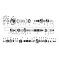 Colony Sprocket Nut, Transm. For Harley-Davidson