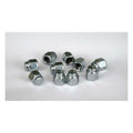 Colony Cap Nuts 6mm (1.0) For Harley-Davidson