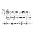 Colony Nut, Transm. Pulley For Harley-Davidson