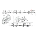 Bearing Race, Mainshaft For Harley-Davidson