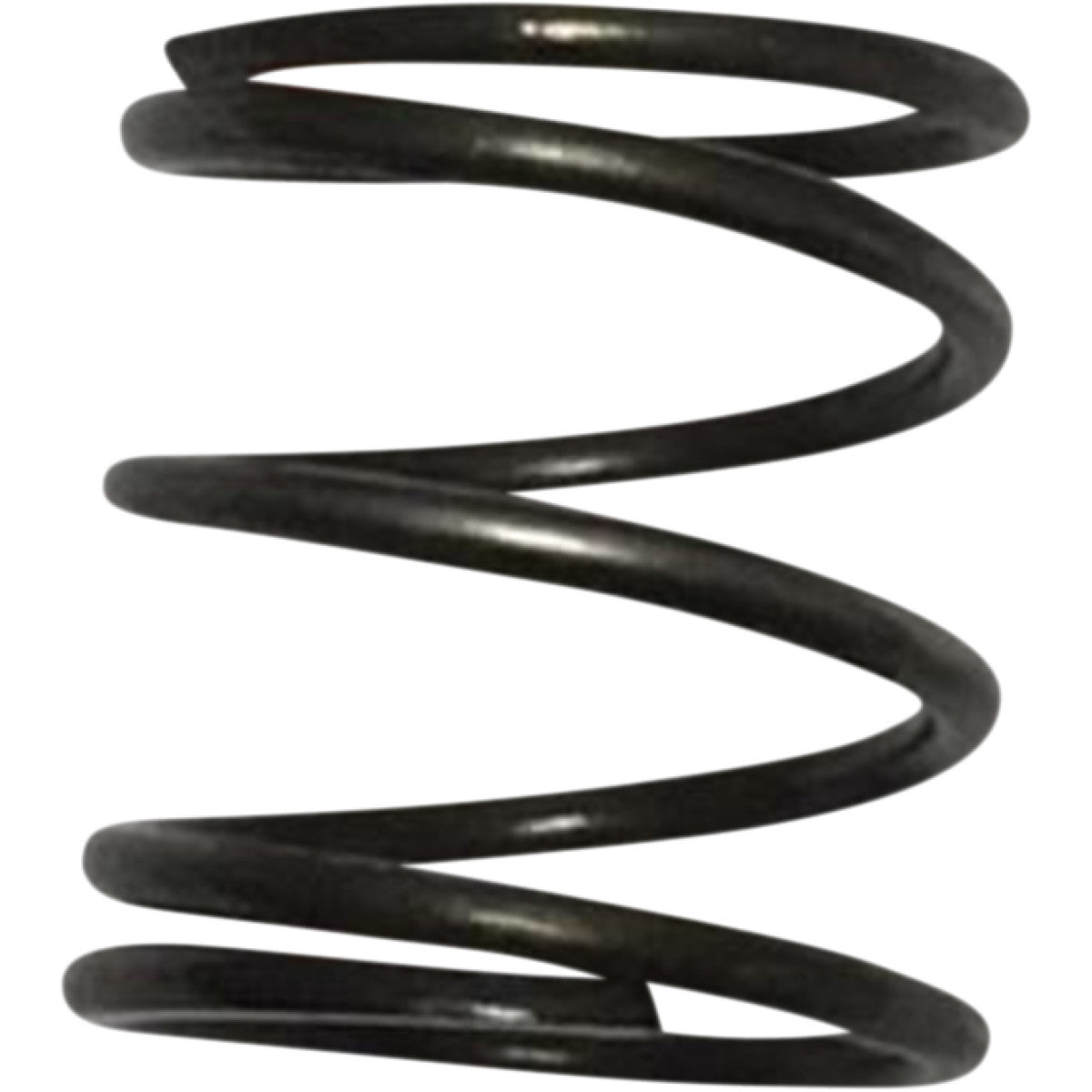 Pushrod Cover Springs pour Harley Davidson