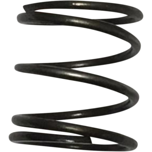 Pushrod Cover Springs for Harley Davidson