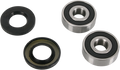 PIVOT WORKS WHEEL BEARING AND SEAL KITS BEARING FRT WHL K07-000