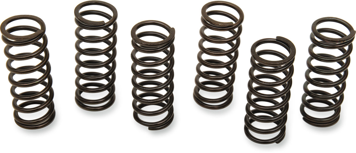 BARNETT CLUTCH KITS, DISCS AND SPRINGS BARNETT SPRING SET