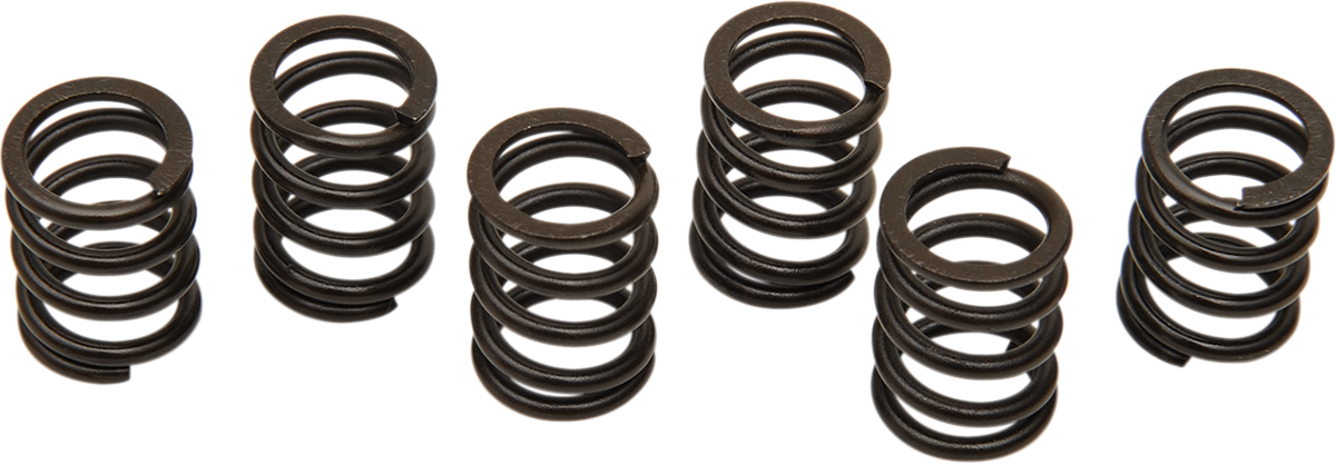 BARNETT CLUTCH KITS, DISCS AND SPRINGS CLUTCH SPRING SET