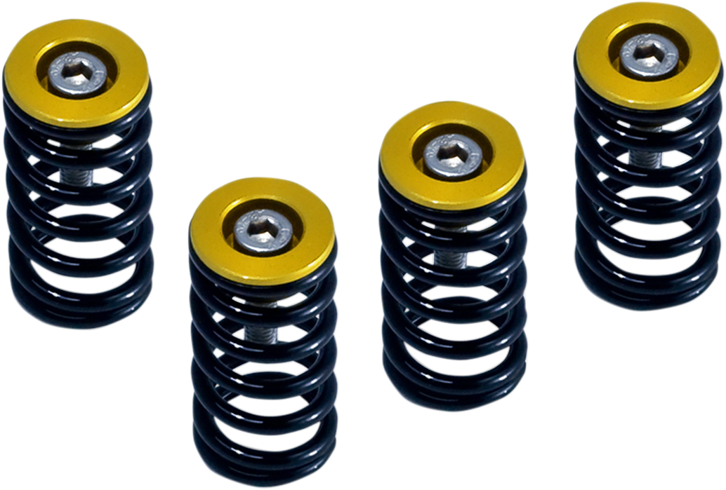 BARNETT BILLET CLUTCH BASKETS, PRESSURE PLATES AND SPRING KITS CLUTCH SPRG W/GOLD DUCATI