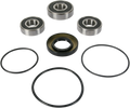 PIVOT WORKS WHEEL BEARING AND SEAL KITS BEARING RR WHL Y11-000