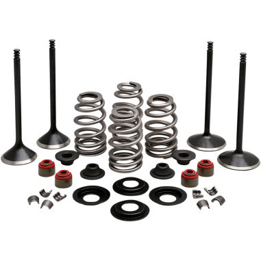 BLACK DIAMOND™​ ENGINE VALVE KITS FOR HARLEY-DAVIDSON