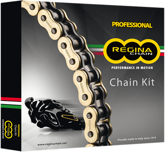 REGINA CHAIN AND SPROCKET KITS CHAIN KIT DUC 996 ST4S