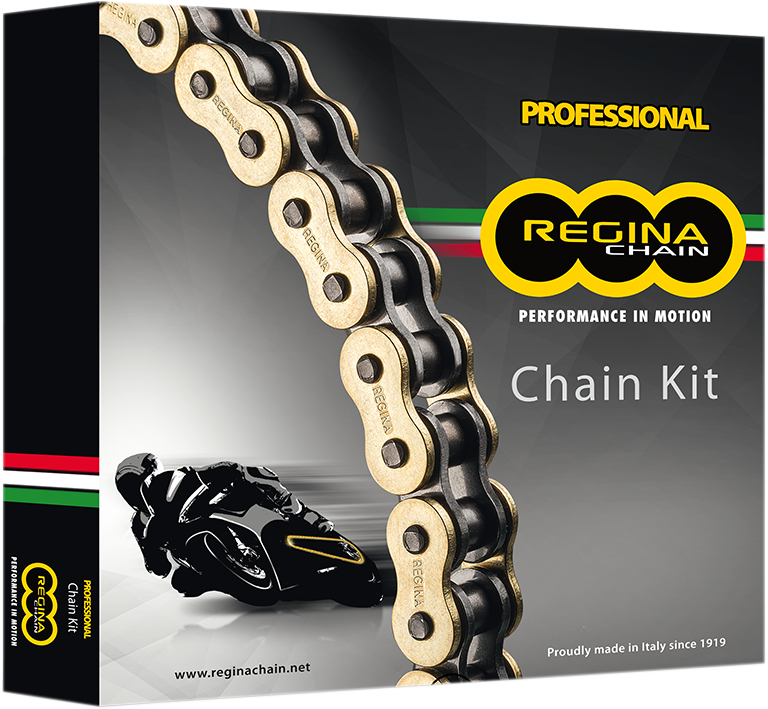 REGINA CHAIN AND SPROCKET KITS CHAIN KIT DUC 1000MULTIST