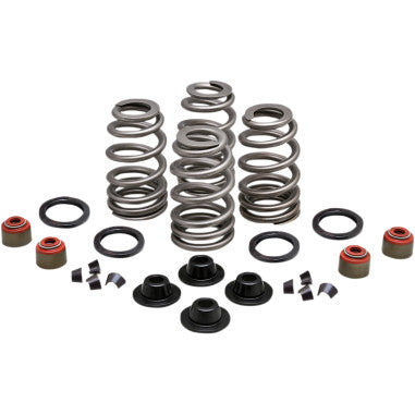 HIGH-PERFORMANCE OVATE WIRE BEEHIVE VALVE SPRING KITS FOR HARLEY-DAVIDSON