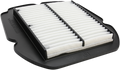 HIFLOFILTRO AIR FILTERS AIR FLTR SUZ SFZ650 GLADI