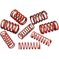 HIGH-LIFT VALVE SPRING KIT FOR HARLEY-DAVIDSON