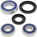 ALL BALLS WHEEL BEARING AND SEAL KITS WHEEL BEARING KIT 25-1285