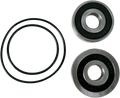 PIVOT WORKS WHEEL BEARING AND SEAL KITS BEARING RR WHL Y09-000