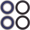 ALL BALLS WHEEL BEARING AND SEAL KITS WHEEL BEARING KIT 25-1389