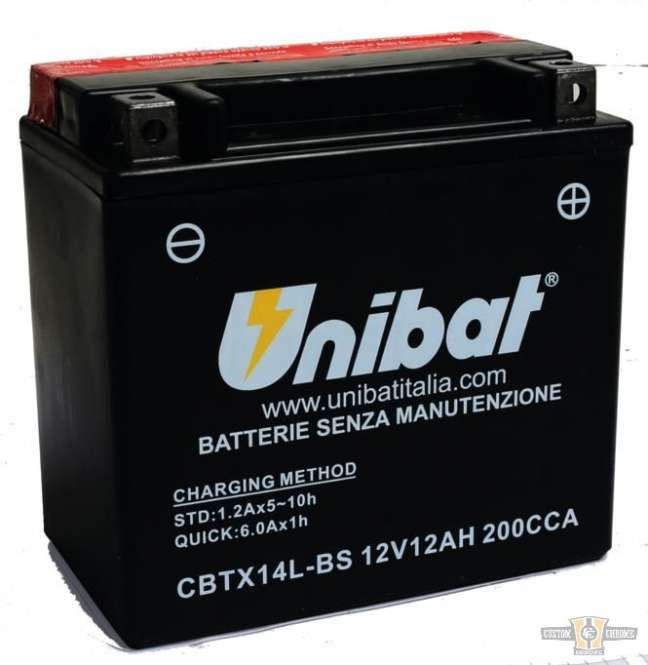 Maintance Free Series CBTX14L-BS AGM Battery AGM, 200 A, 12.0 Ah For Harley-Davidson