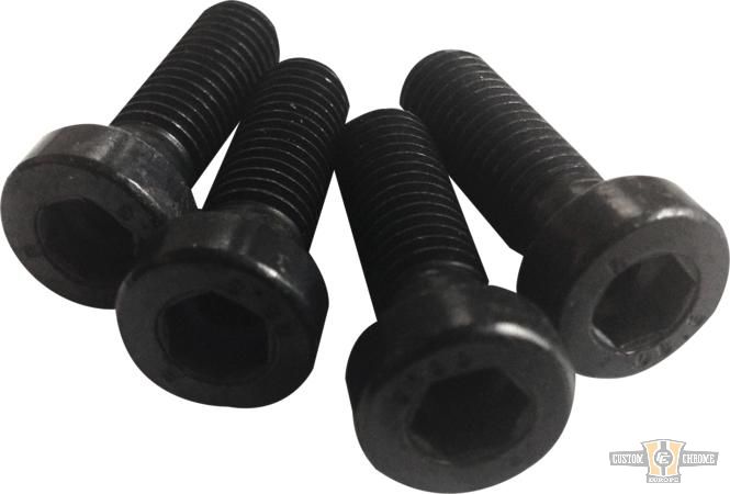 Fender Mounting Screws Black Galvanized For Harley-Davidson