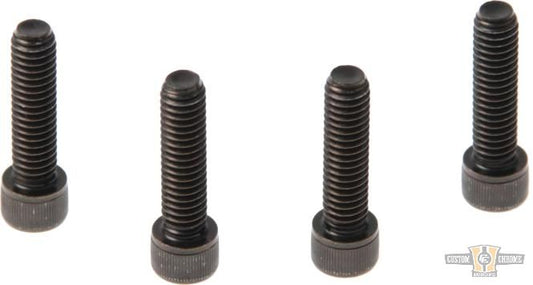 Fender Mounting Screws Black Galvanized For Harley-Davidson