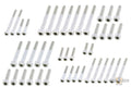 Drivetrain Screw Kits Raw For Harley-Davidson