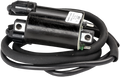RICK'S MOTORSPORT ELECTRIC IGNITION COILS COIL HONDA