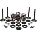 BLACK DIAMOND™ ENGINE VALVE KITS FOR HARLEY DAVIDSON