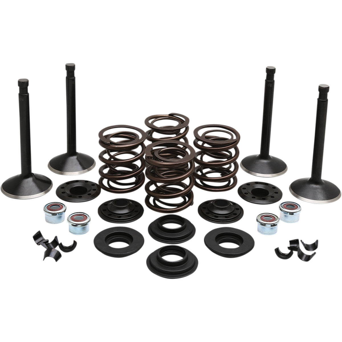 BLACK DIAMOND™ ENGINE VALVE KITS FOR HARLEY DAVIDSON