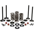 BLACK DIAMOND™​ ENGINE VALVE KITS FOR HARLEY-DAVIDSON