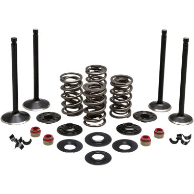 BLACK DIAMOND™​ ENGINE VALVE KITS FOR HARLEY-DAVIDSON