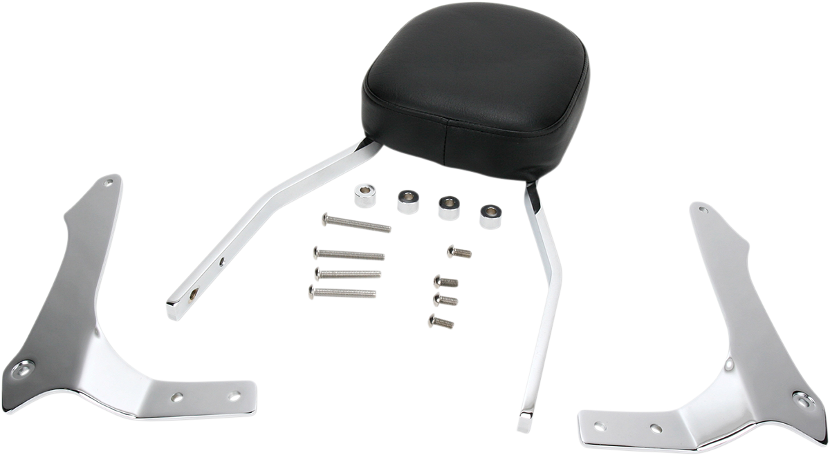 COBRA SISSY BARS SISSY BAR STD RAIDER