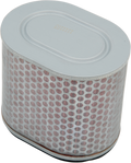 HIFLOFILTRO AIR FILTERS FLTR AIR HON NT700V 06-11