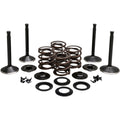 BLACK DIAMOND™ MOTORVENTIL-KITS FÜR HARLEY DAVIDSON