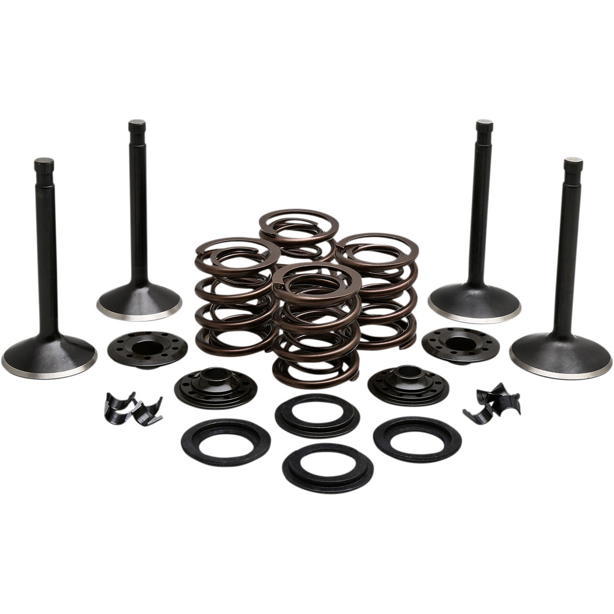BLACK DIAMOND™ MOTORVENTIL-KITS FÜR HARLEY DAVIDSON